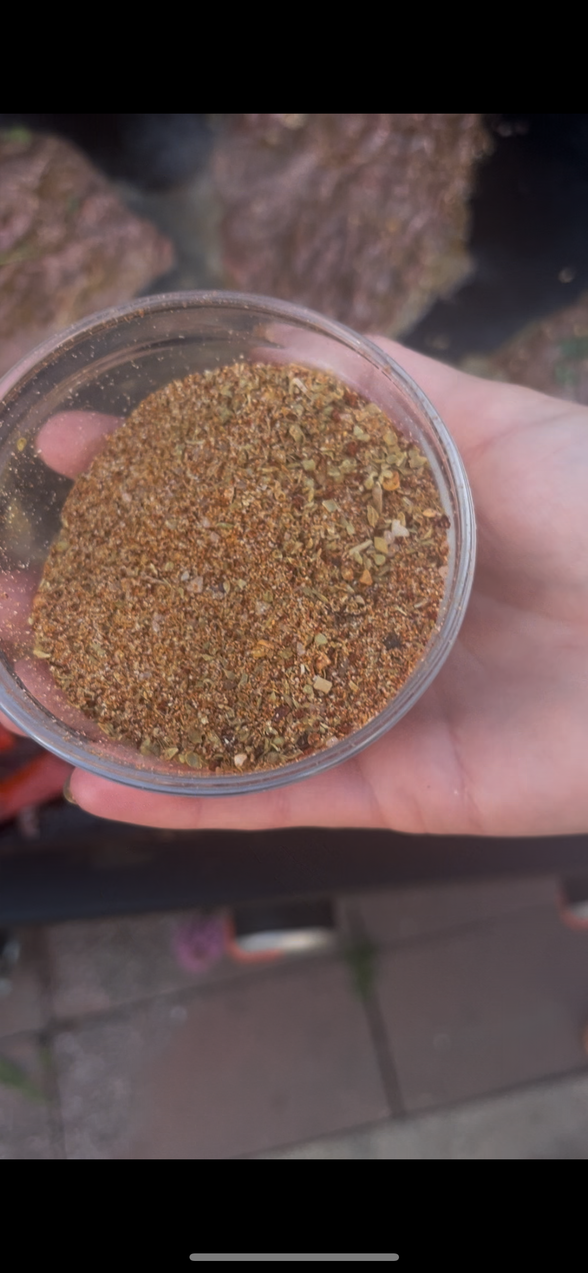 Taco Spice (6 oz)